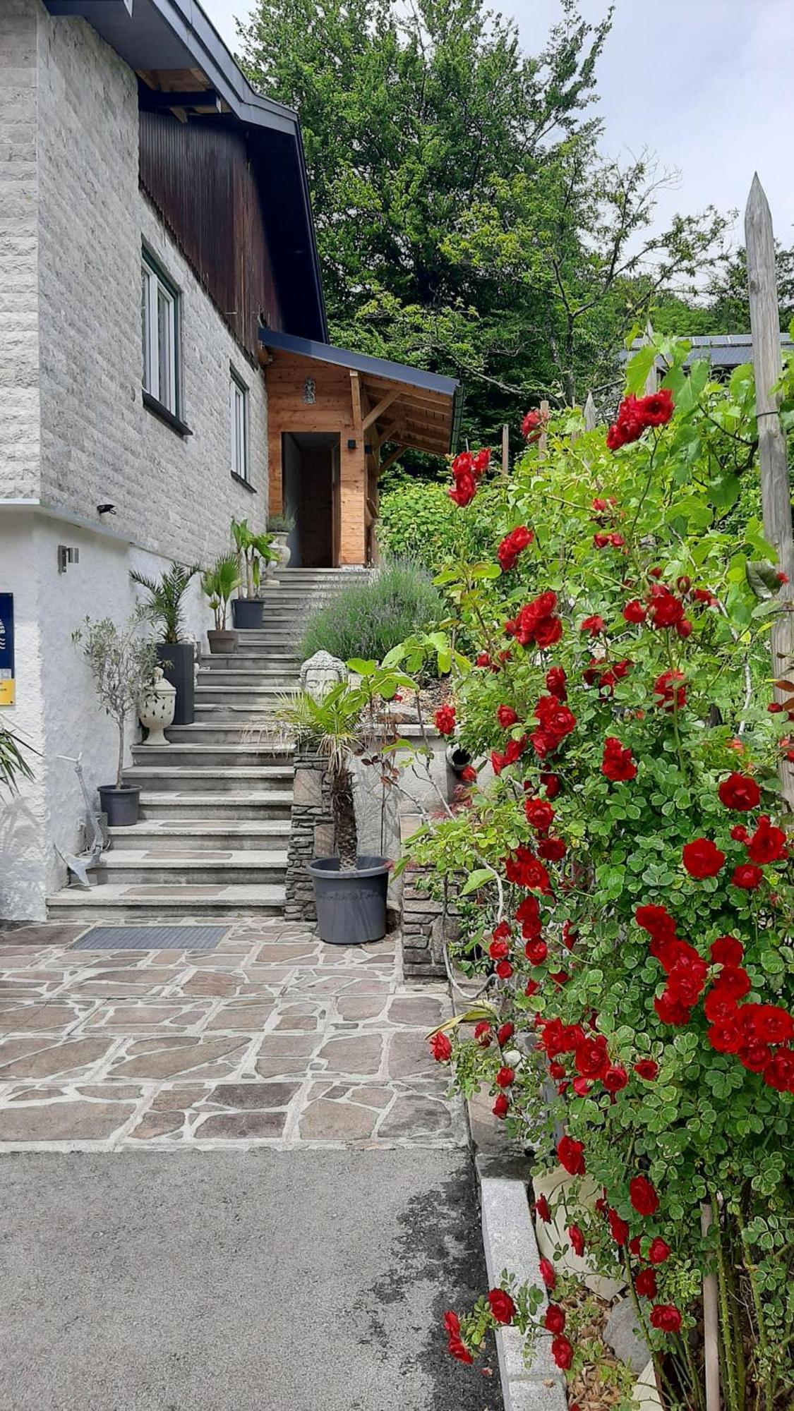 Ferienhaus Goldener Anker 운터라흐 암 아터제 외부 사진